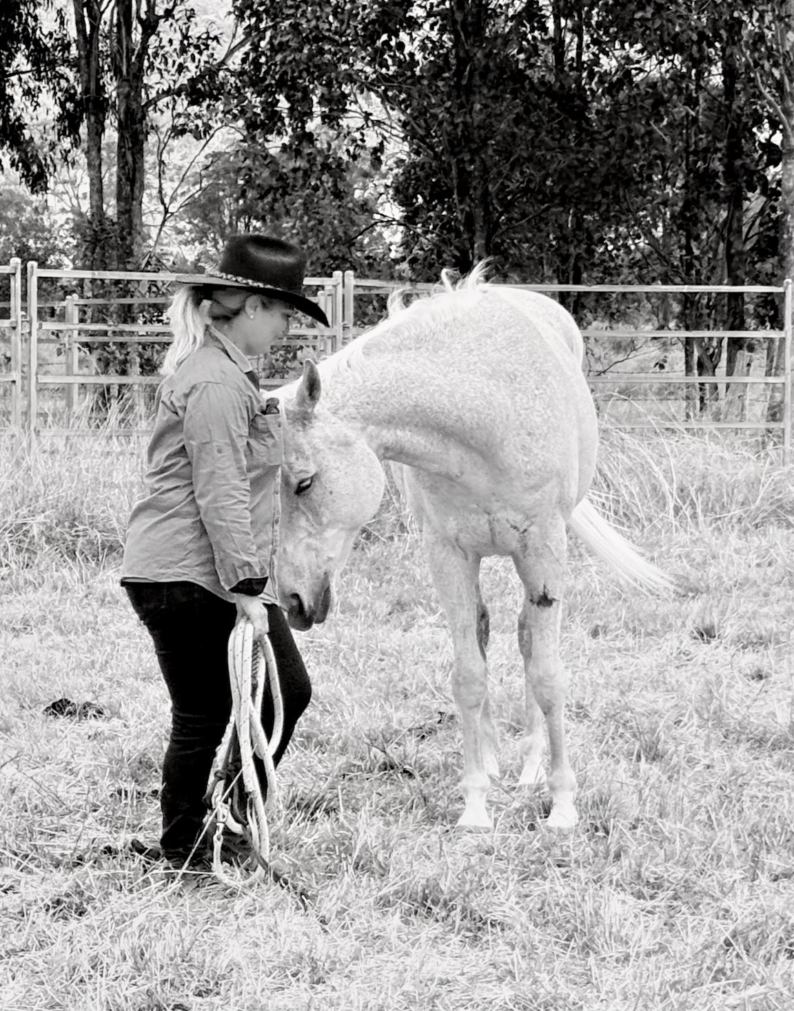 Equine Assisted Psychotherapy (EAP)